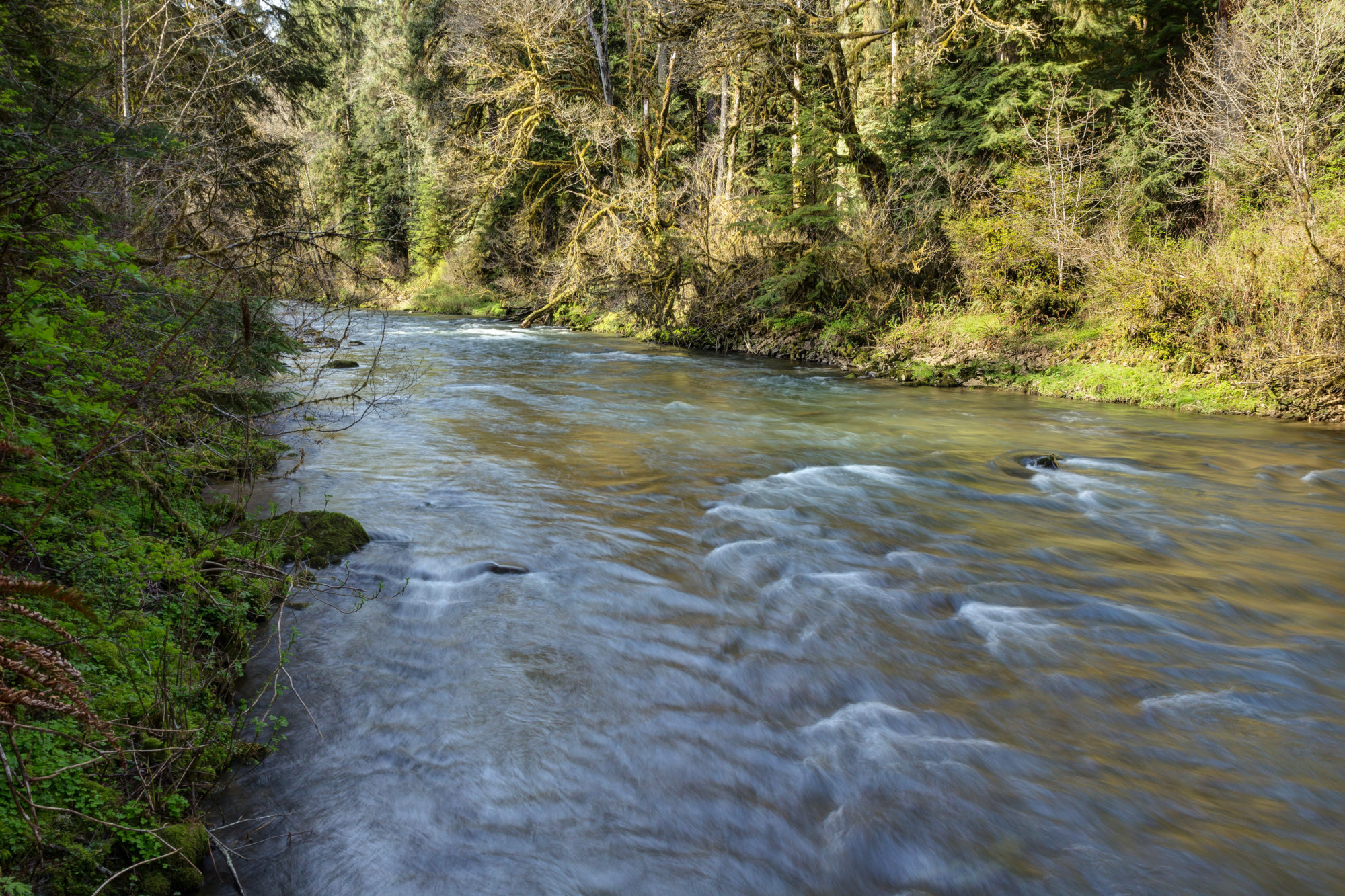 Elochoman River Photo by Doug Gorsline - Columbia Land Trust