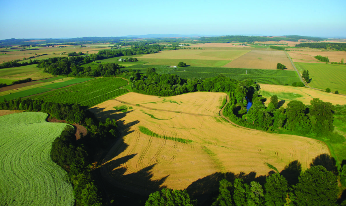 Cultivating Trust - Columbia Land Trust