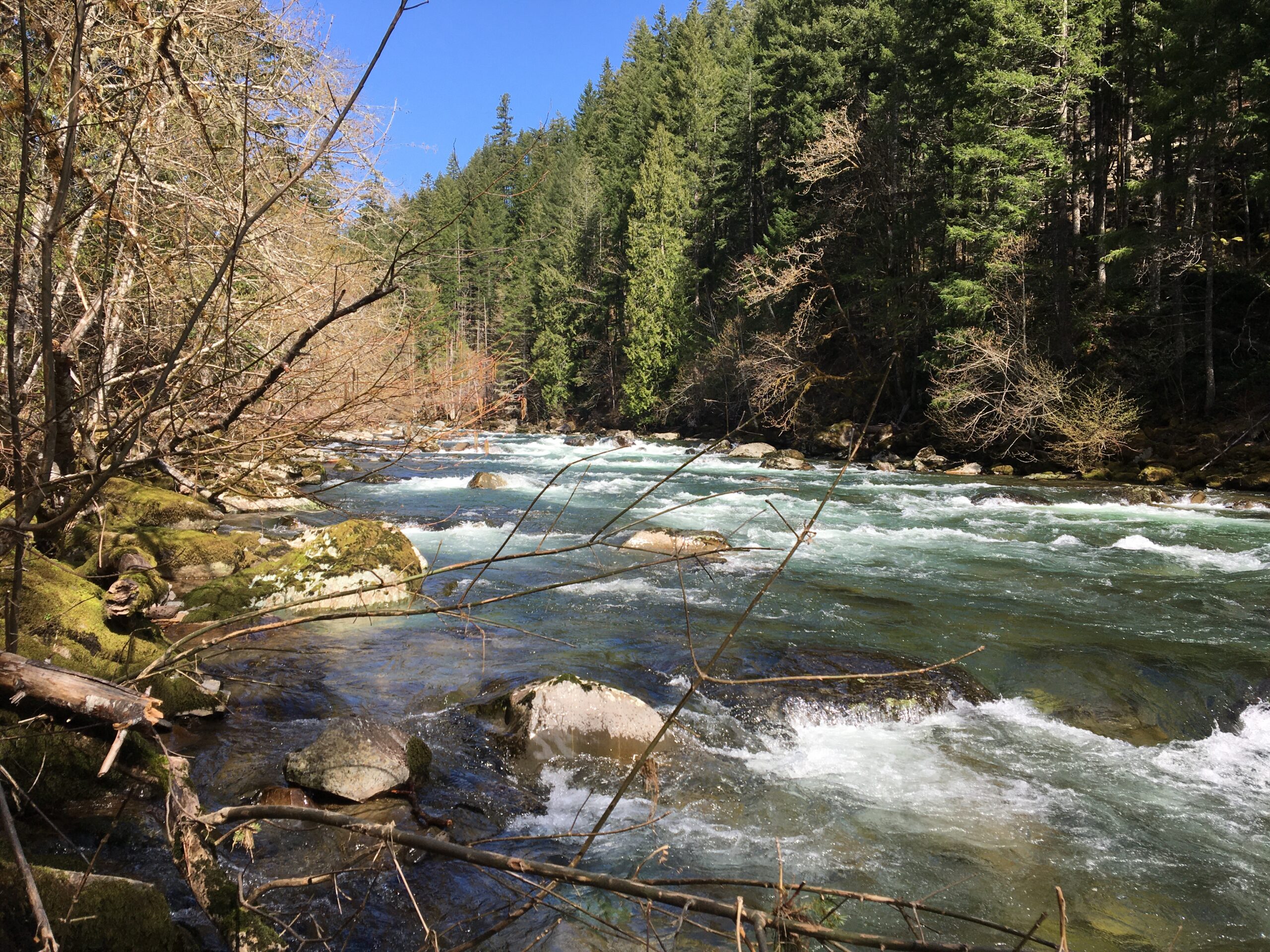 Protecting One of the Most Important Rivers for Steelhead - Columbia ...